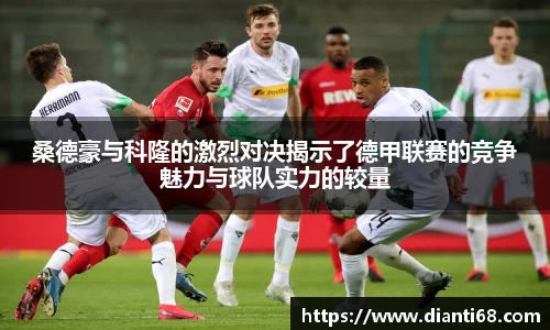 九游体育.九游体育官网入口